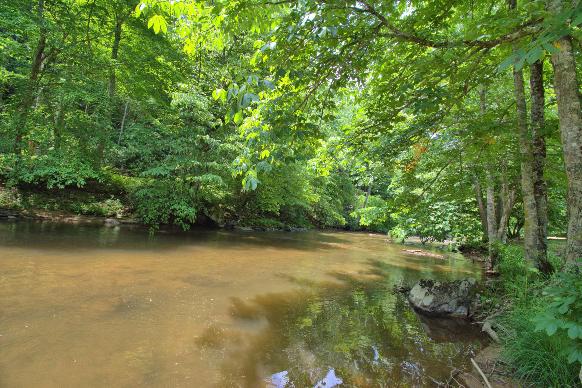 Image number 9 for the current listing