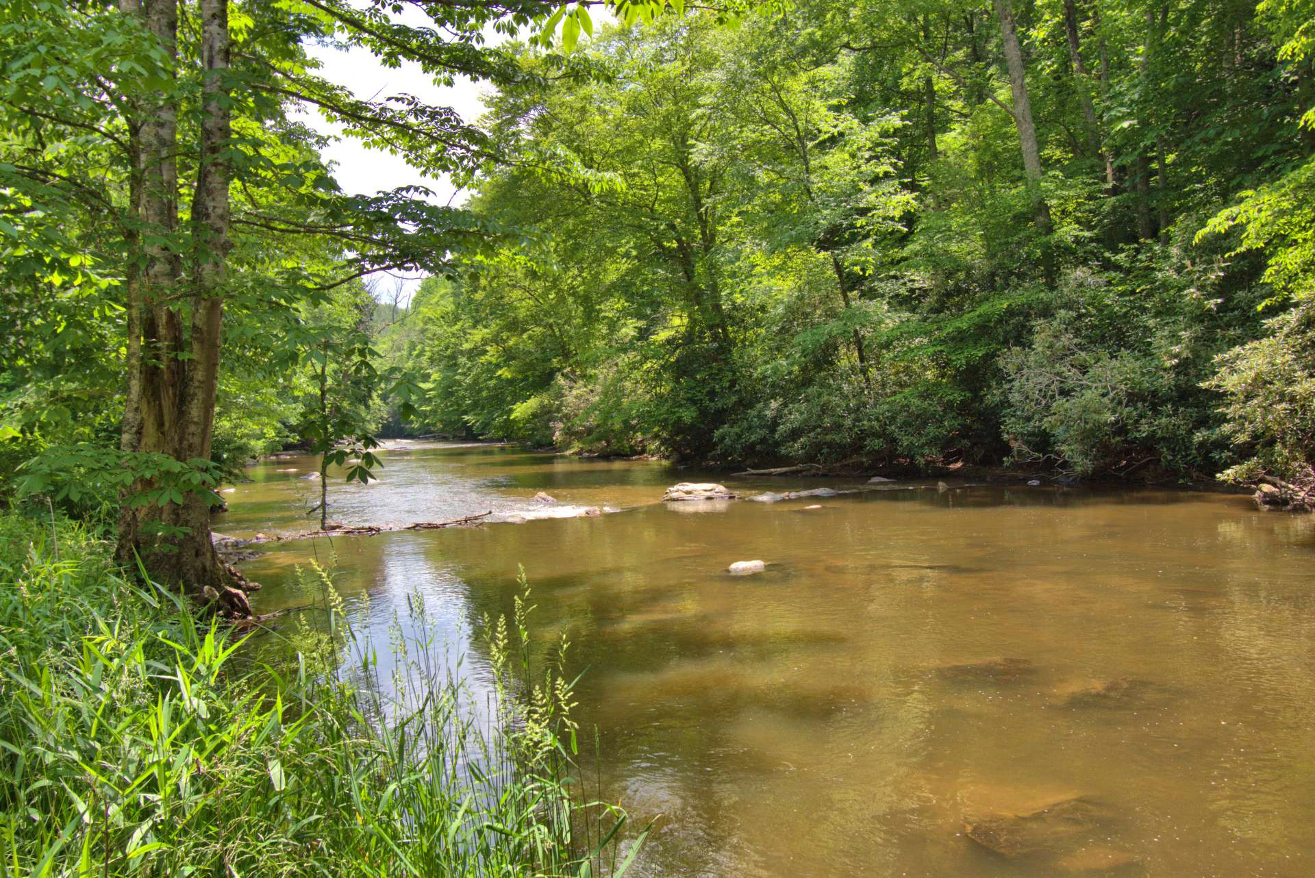 Image number 13 for the current listing