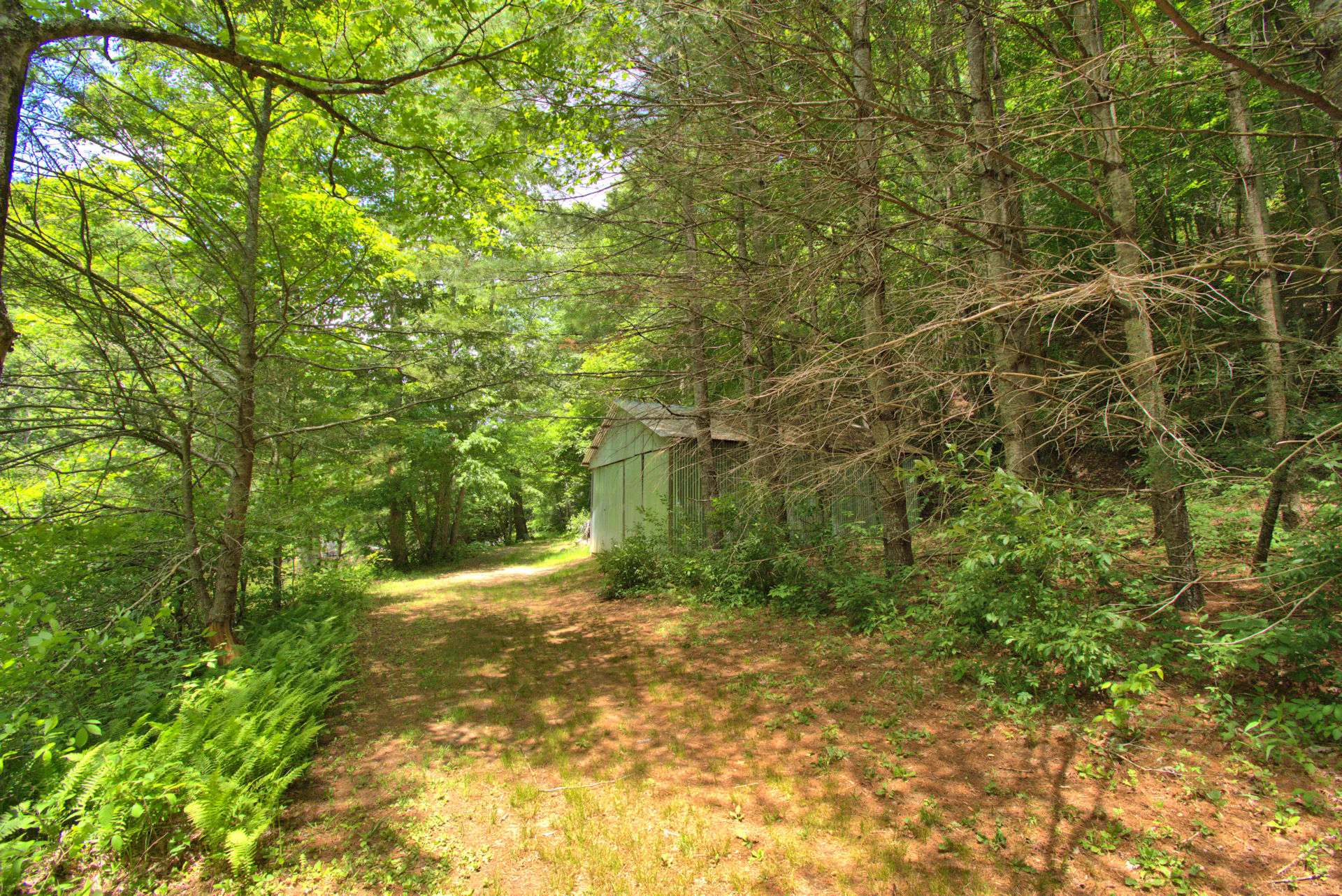 Image number 17 for the current listing