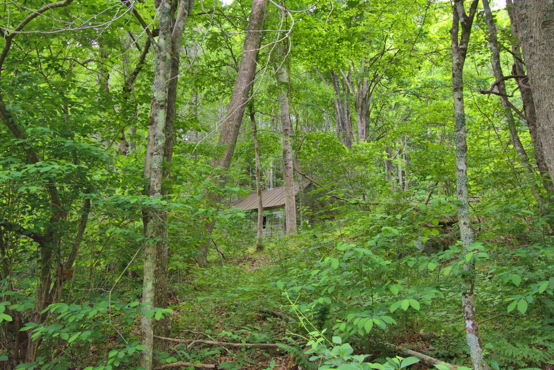 Image number 21 for the current listing