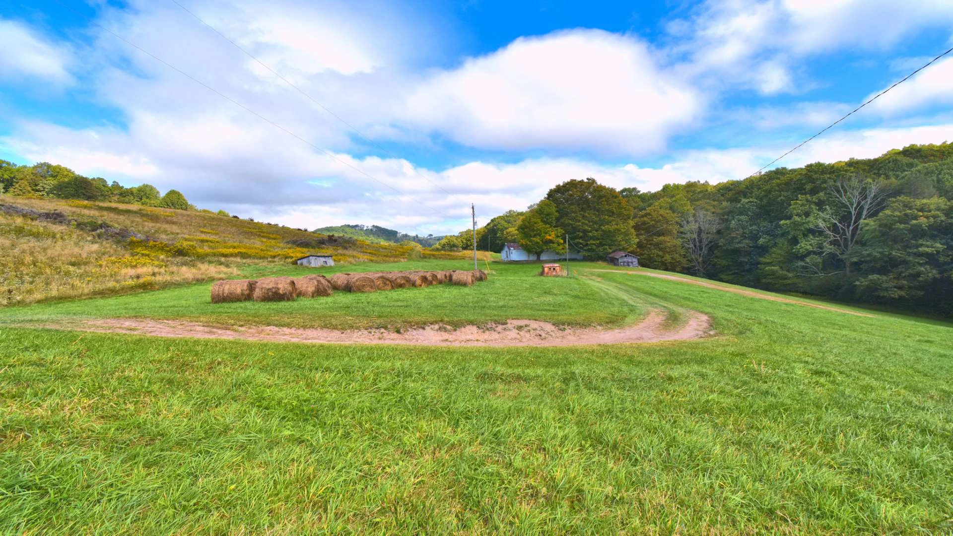 Image number 5 for the current listing