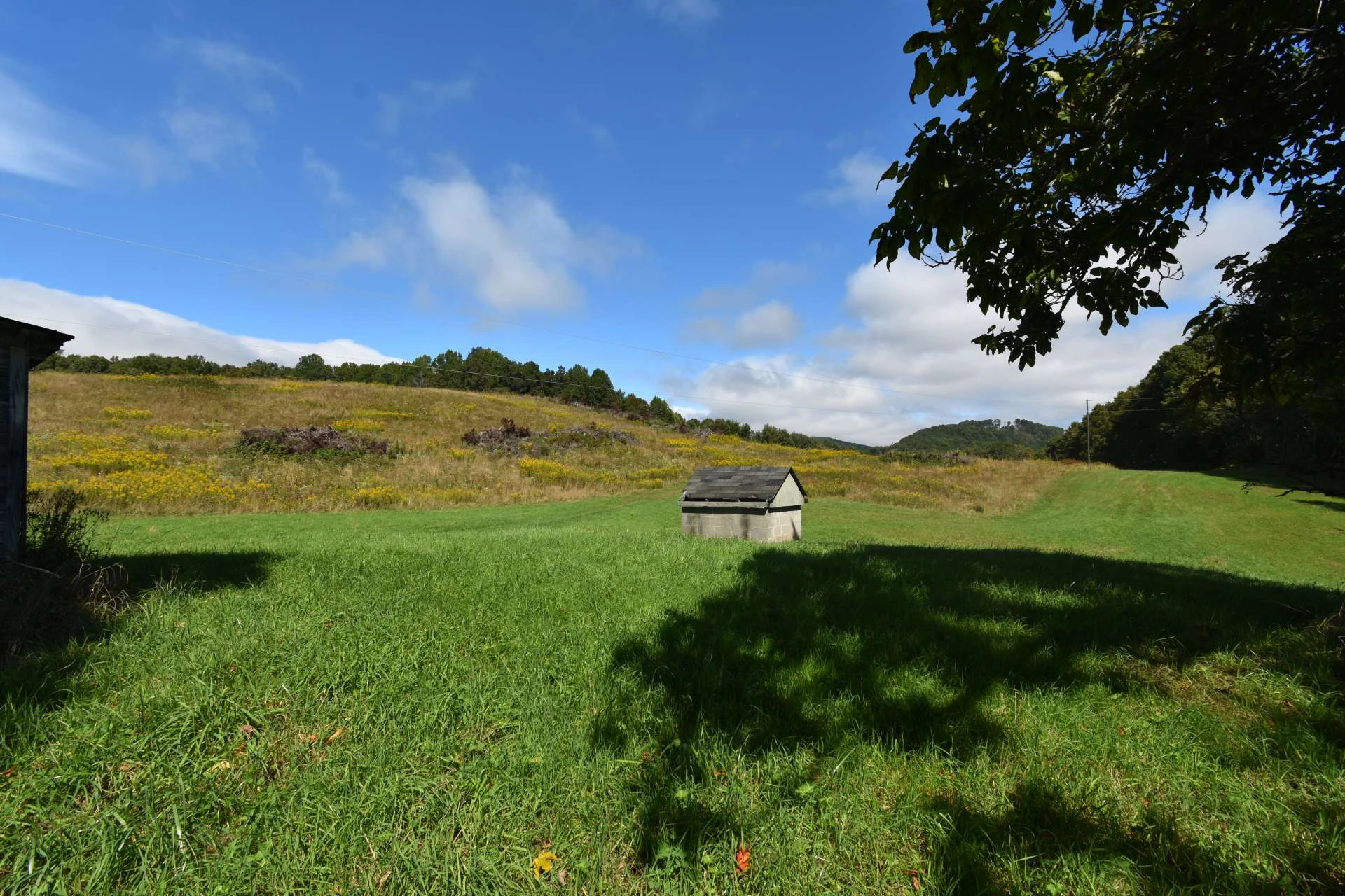 Image number 13 for the current listing