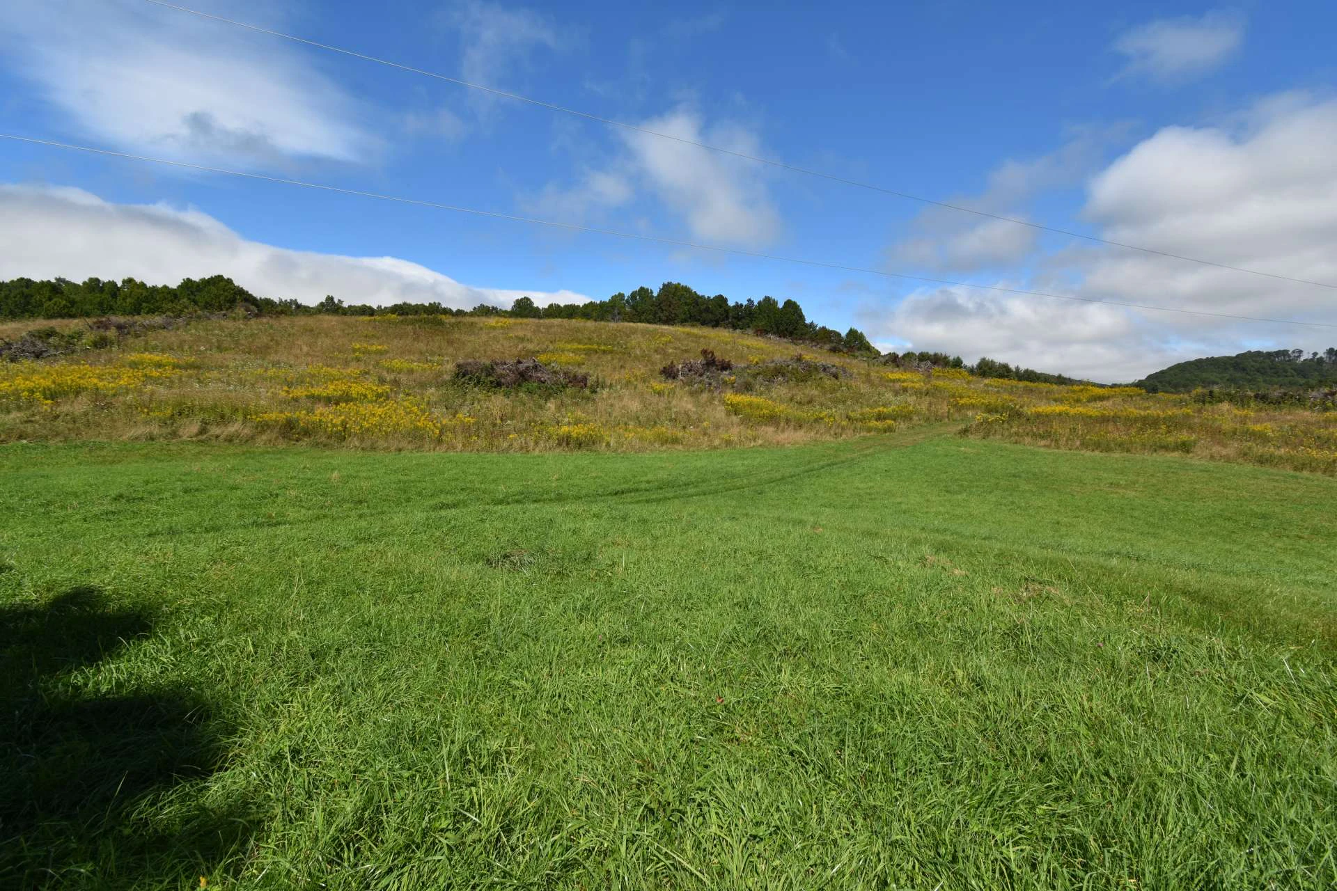 Image number 11 for the current listing