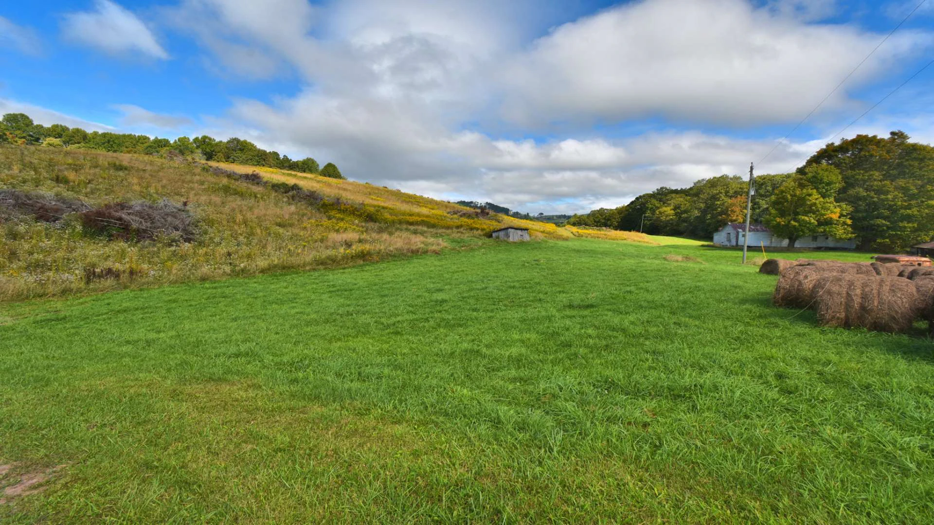 Image number 2 for the current listing