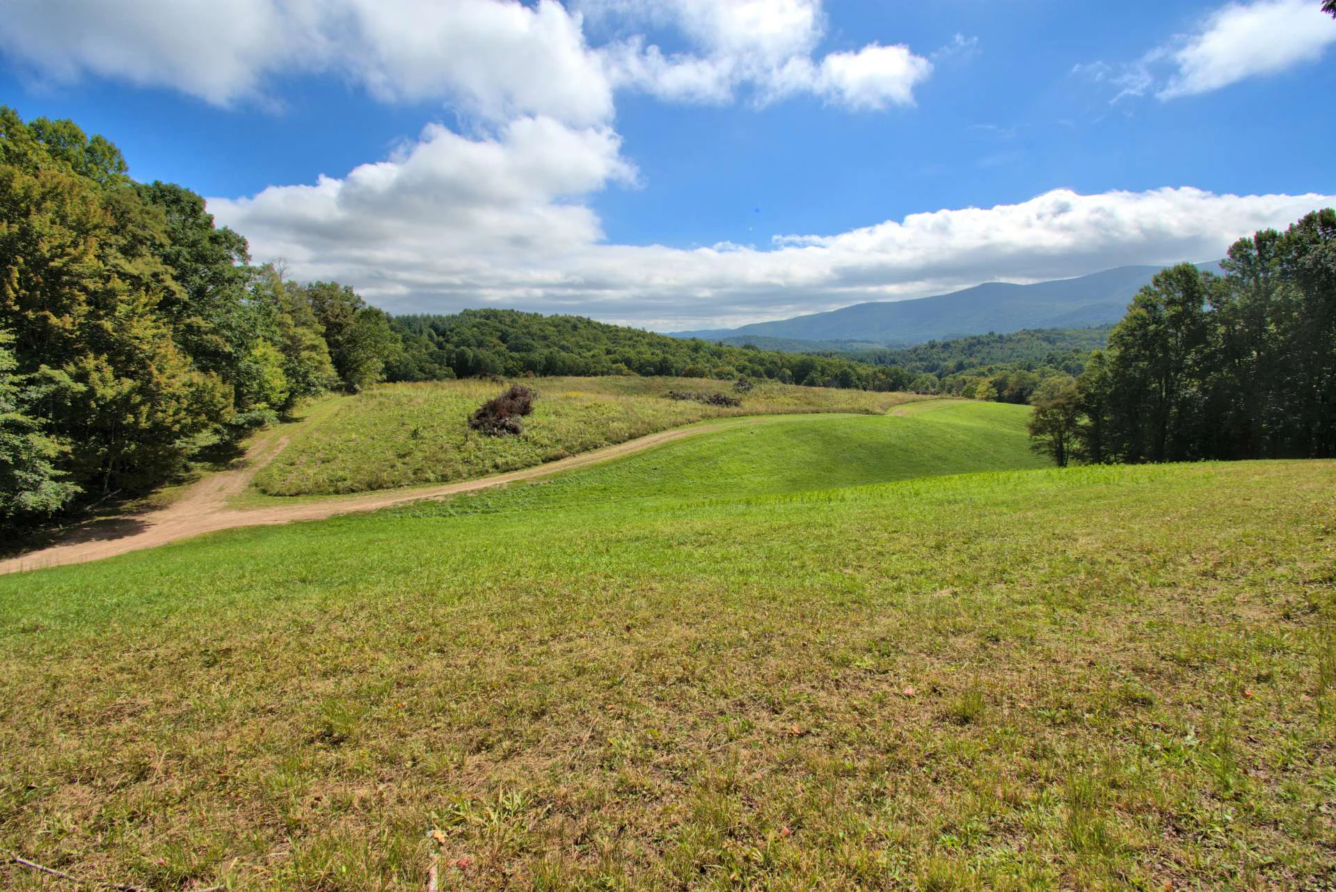 Image number 3 for the current listing