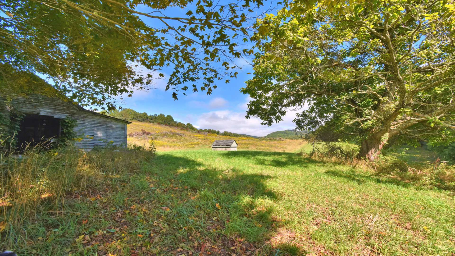 Image number 16 for the current listing