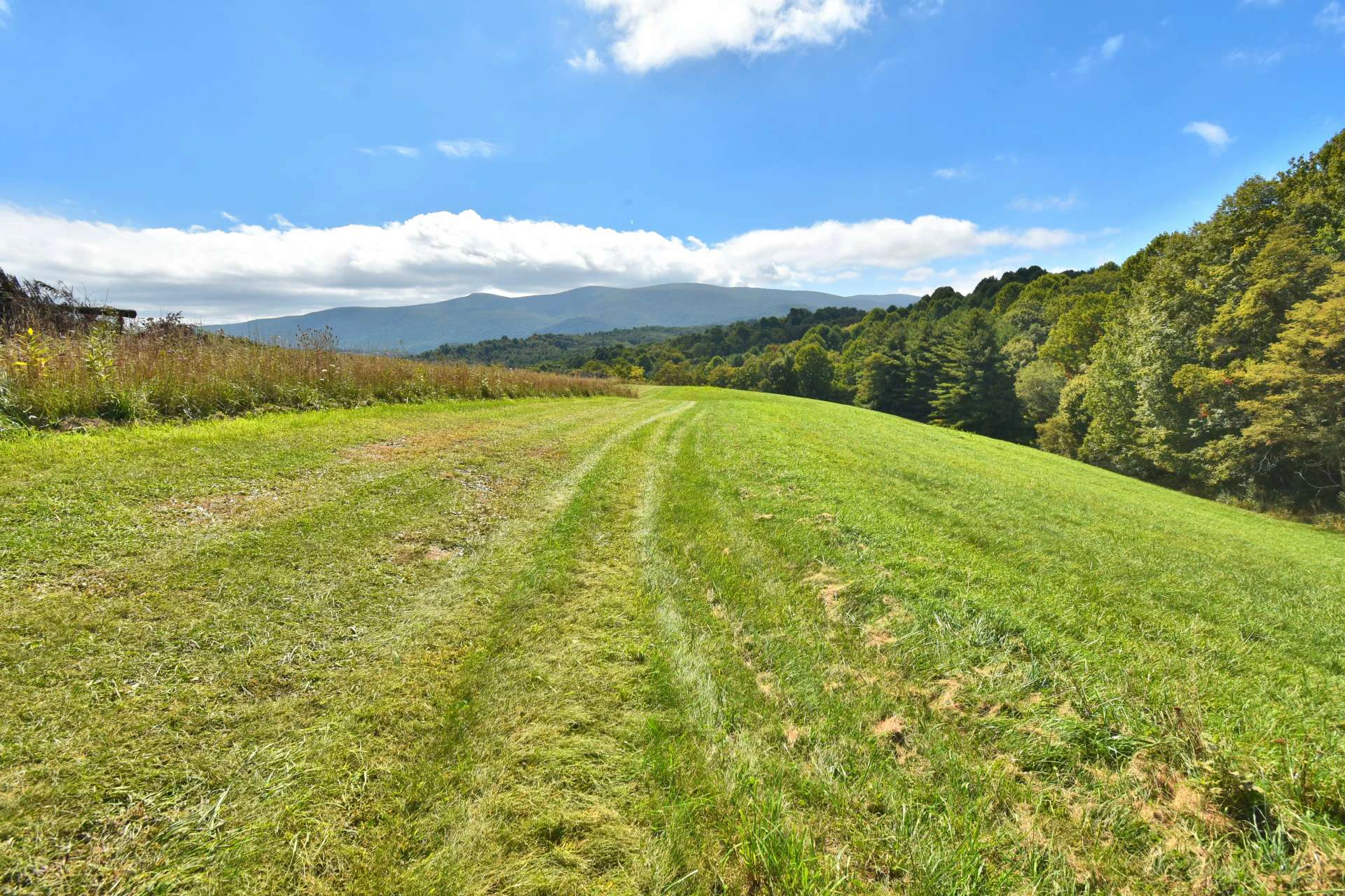 Image number 8 for the current listing