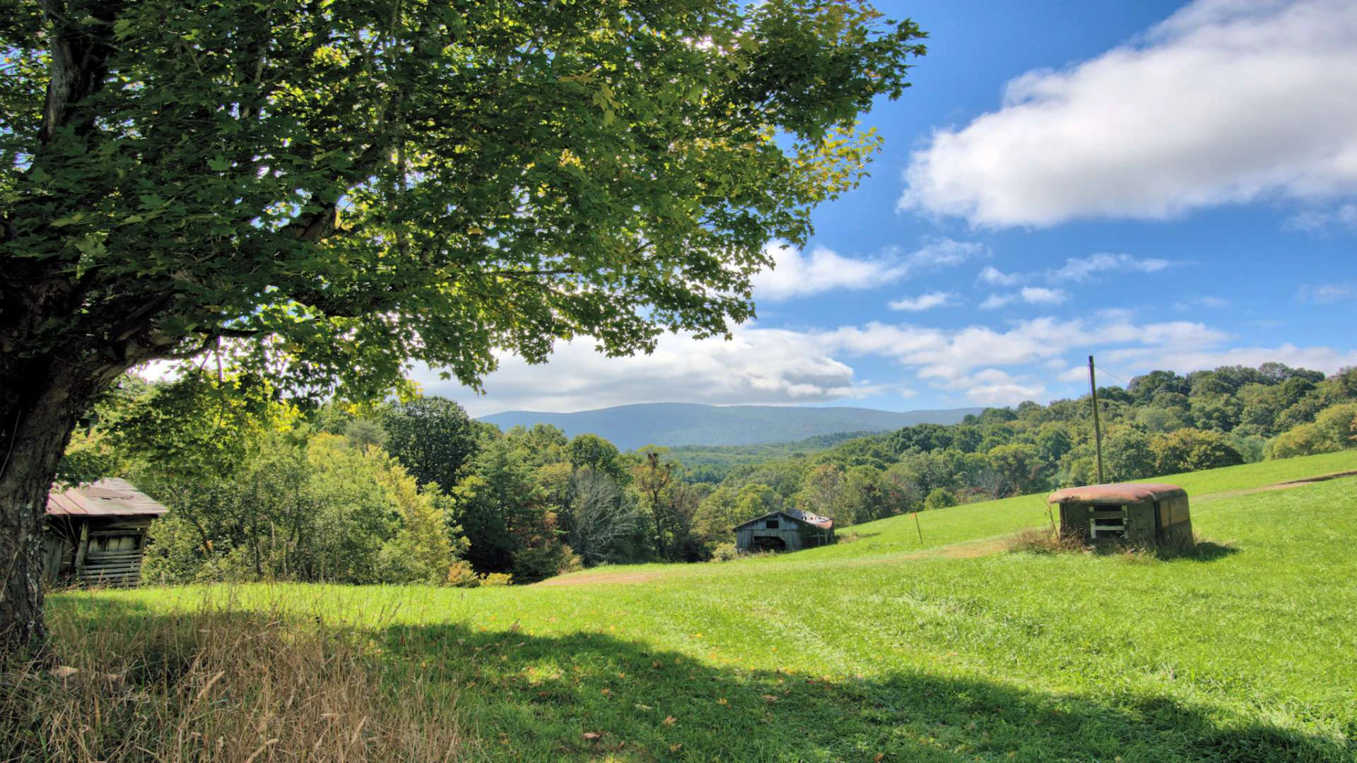 Image number 15 for the current listing