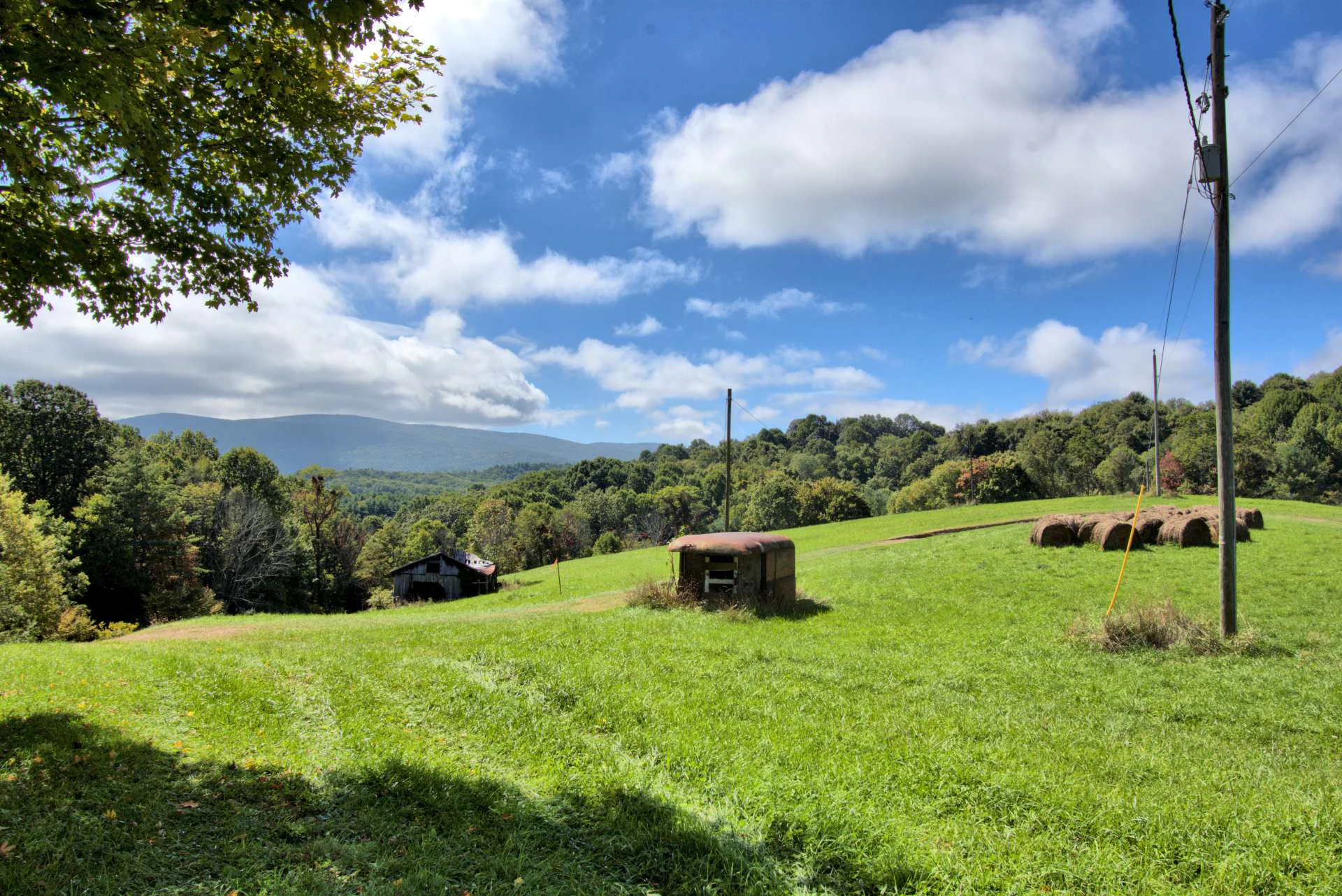 Image number 14 for the current listing