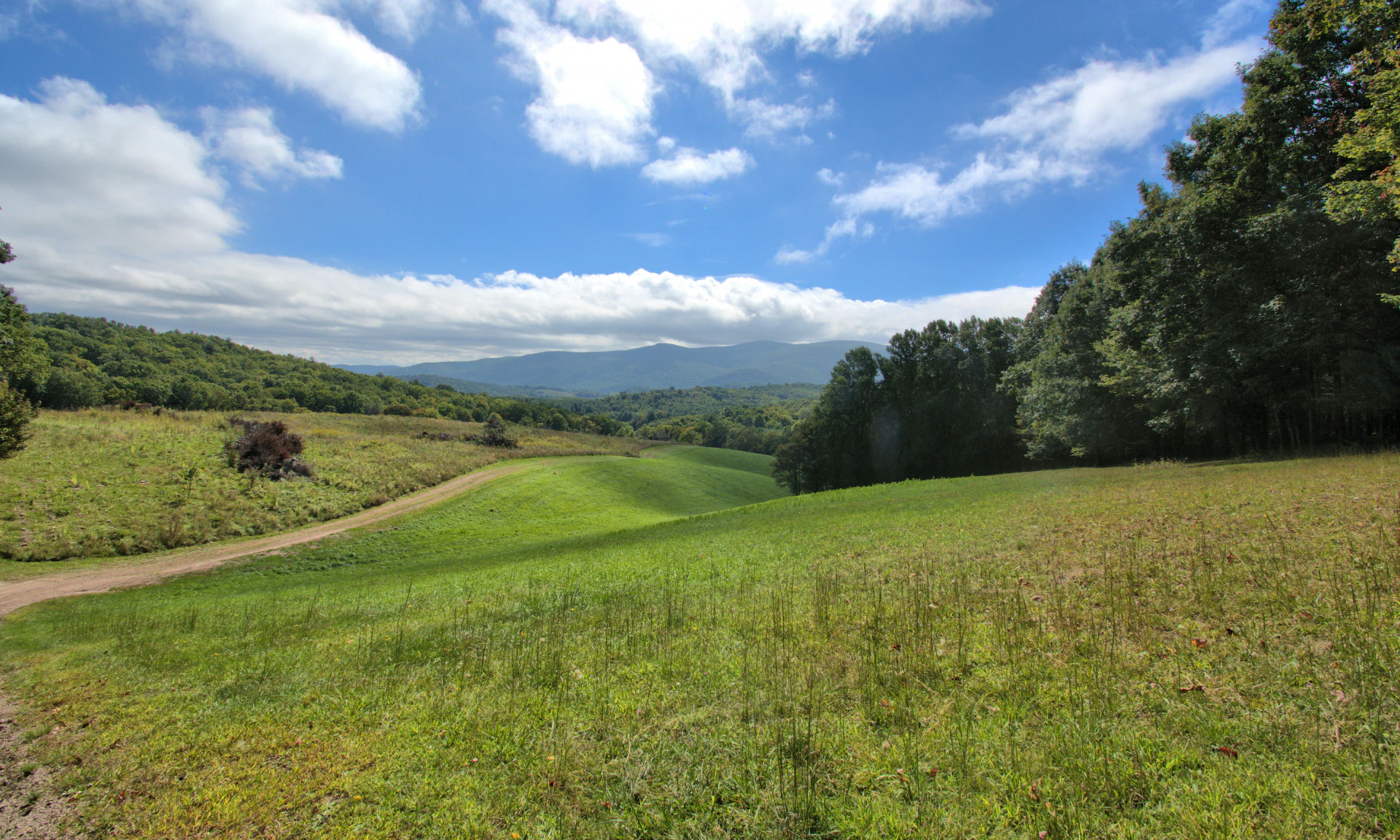 Image number 1 for the current listing