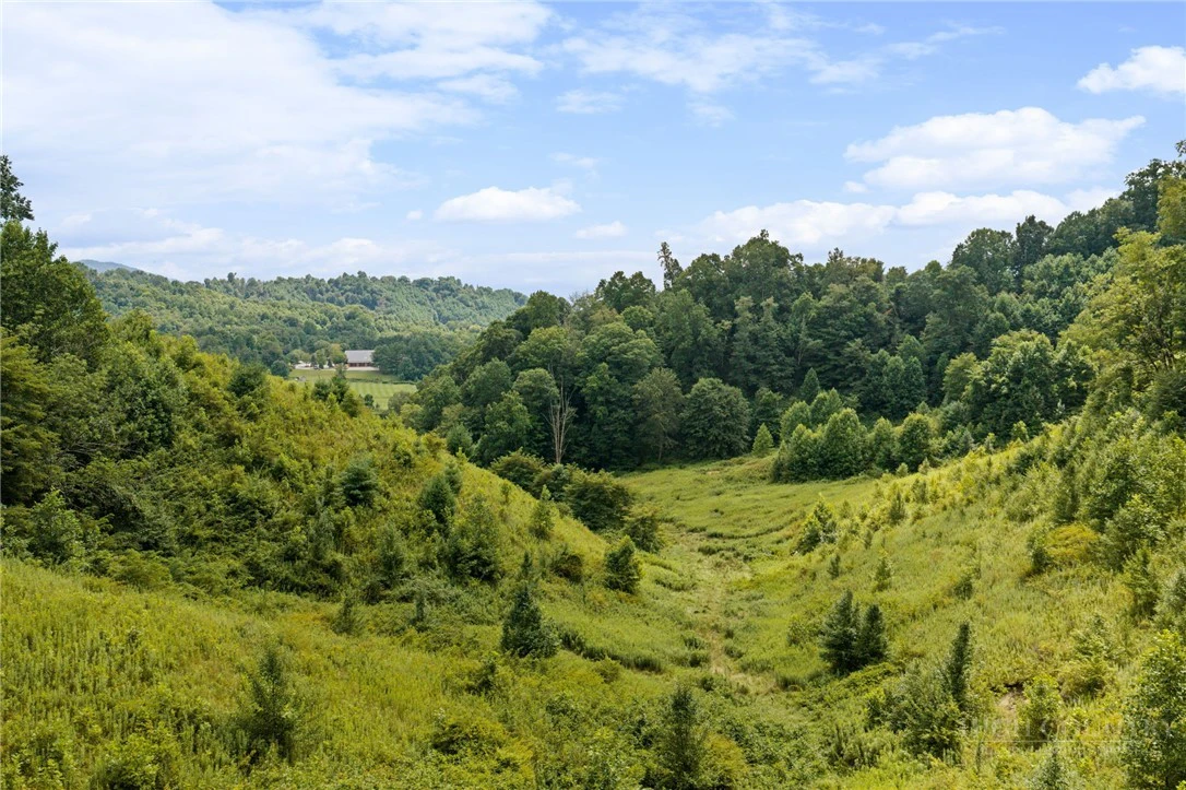 Image number 2 for the current listing