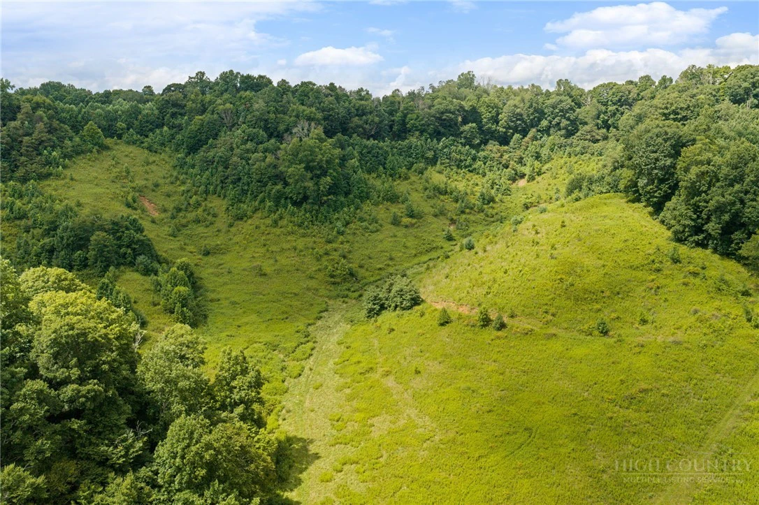 Image number 3 for the current listing