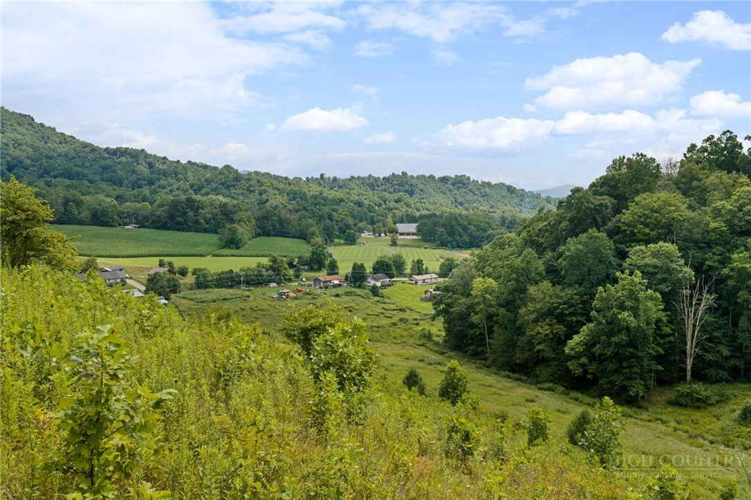 Image number 6 for the current listing