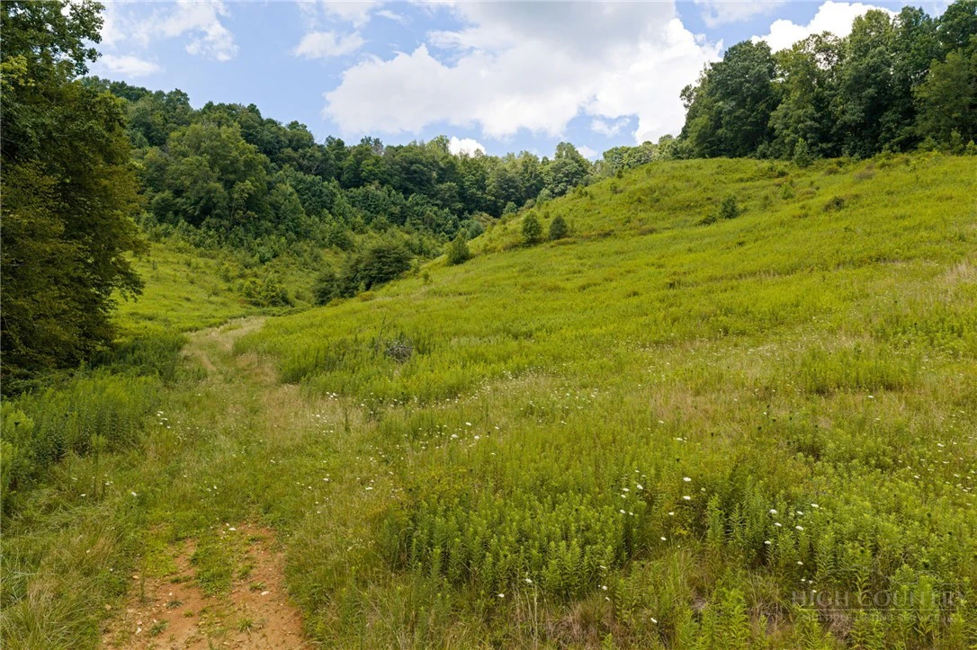 Image number 11 for the current listing