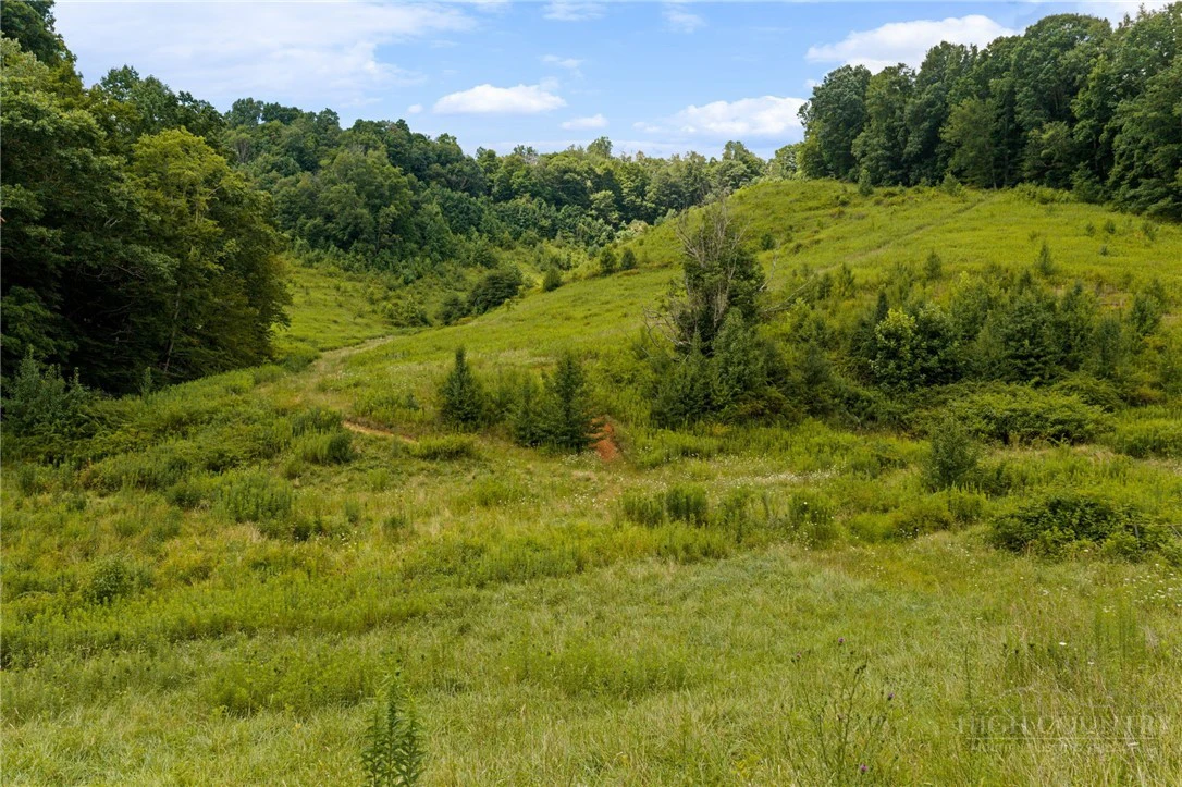 Image number 12 for the current listing
