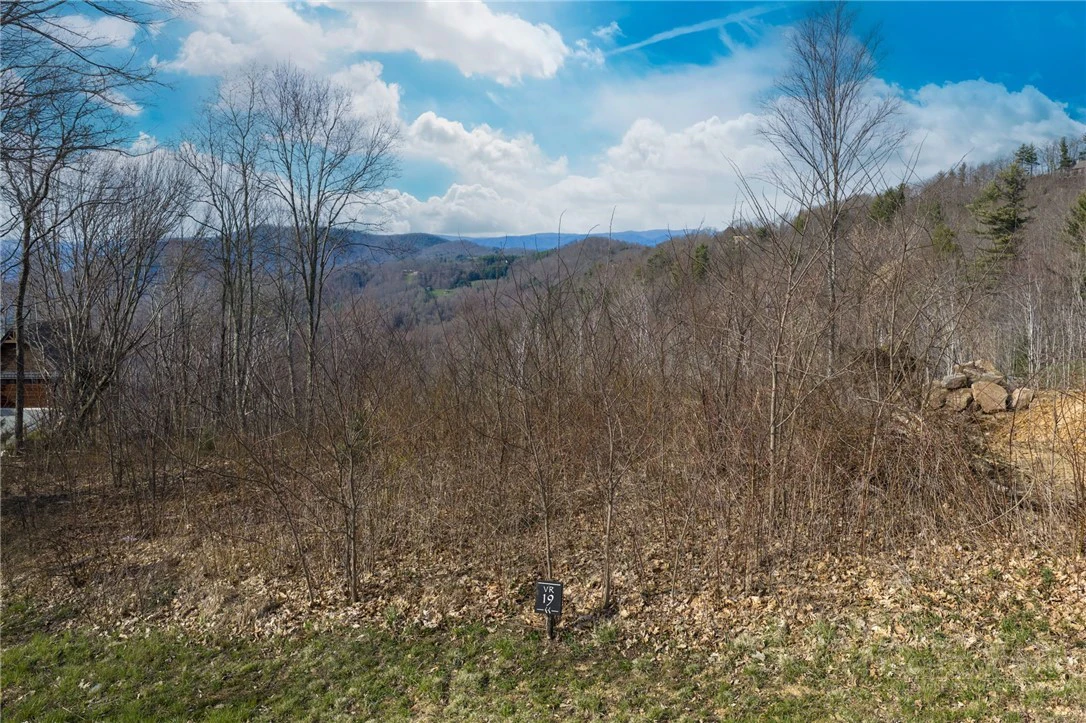Image number 1 for the current listing