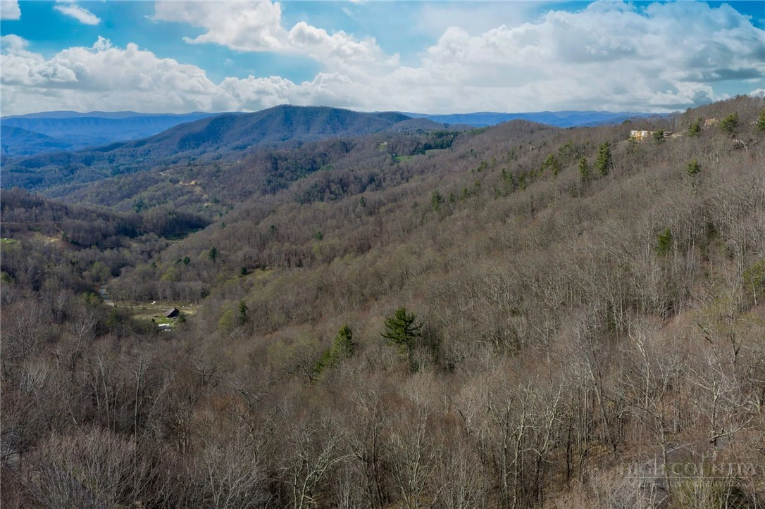 Image number 21 for the current listing