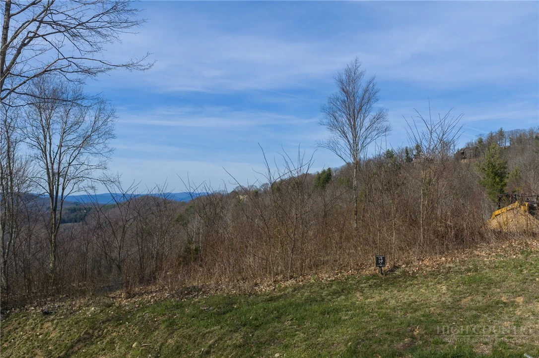 Image number 17 for the current listing