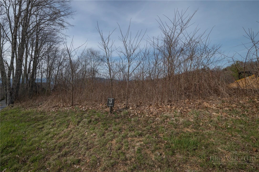 Image number 15 for the current listing