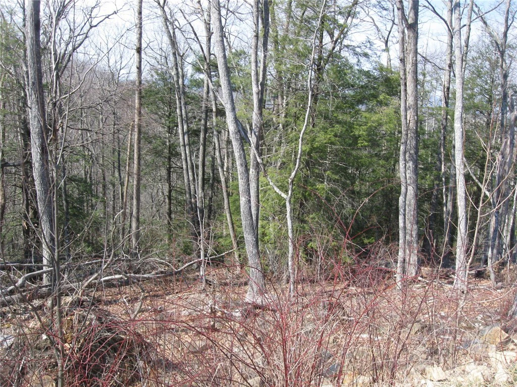 Image number 1 for the current listing