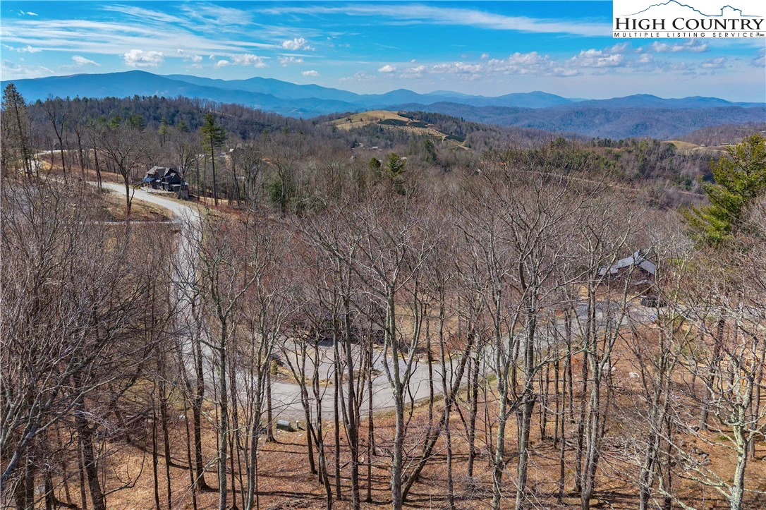 Image number 1 for the current listing