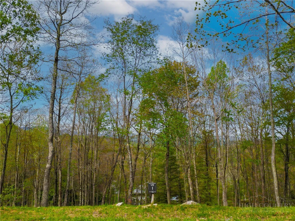 Image number 2 for the current listing