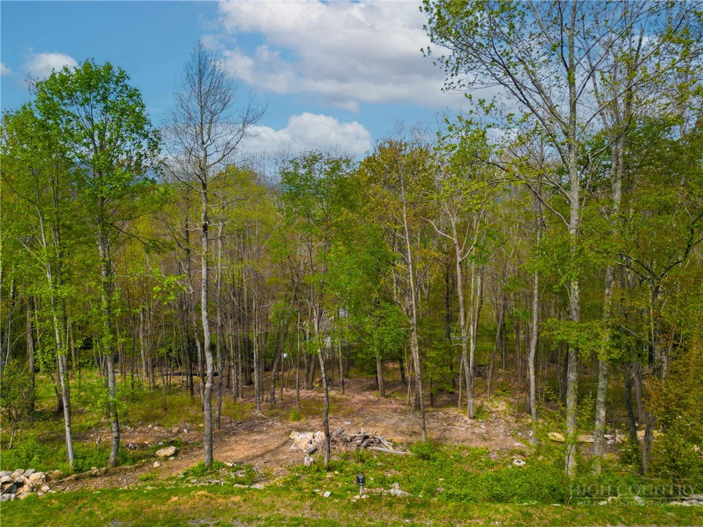 Image number 3 for the current listing