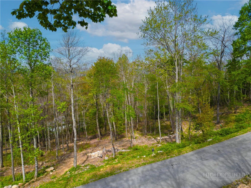 Image number 4 for the current listing