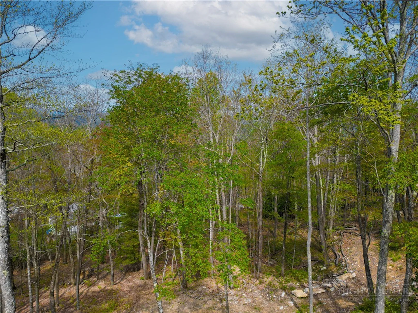 Image number 5 for the current listing