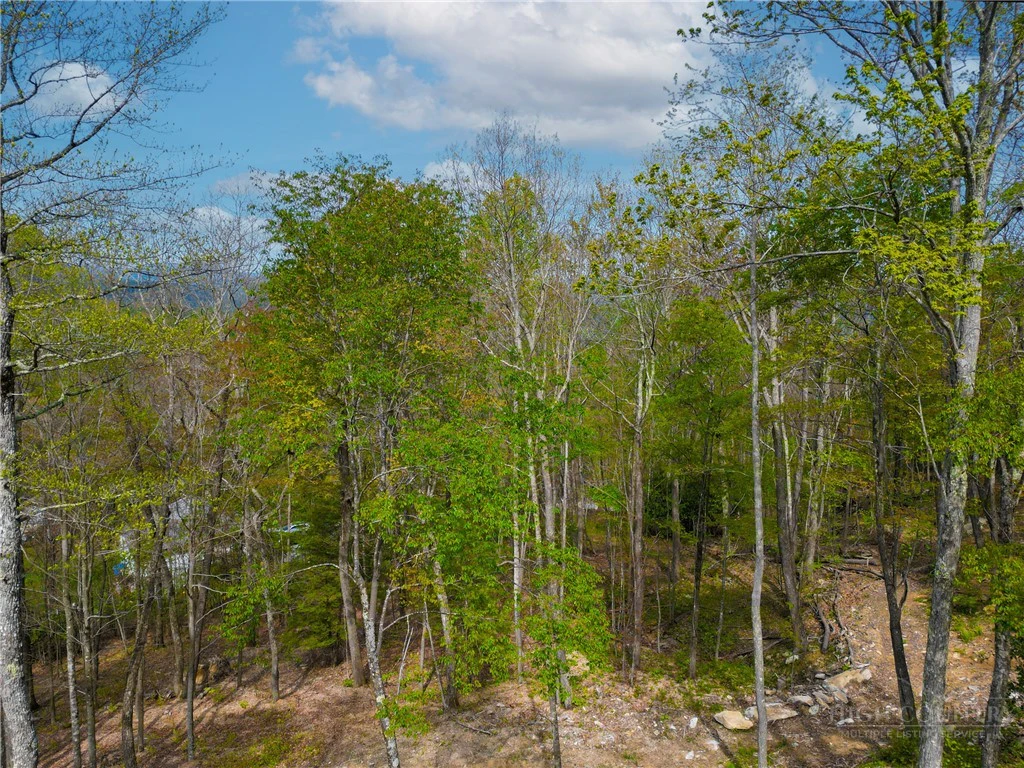 Image number 5 for the current listing