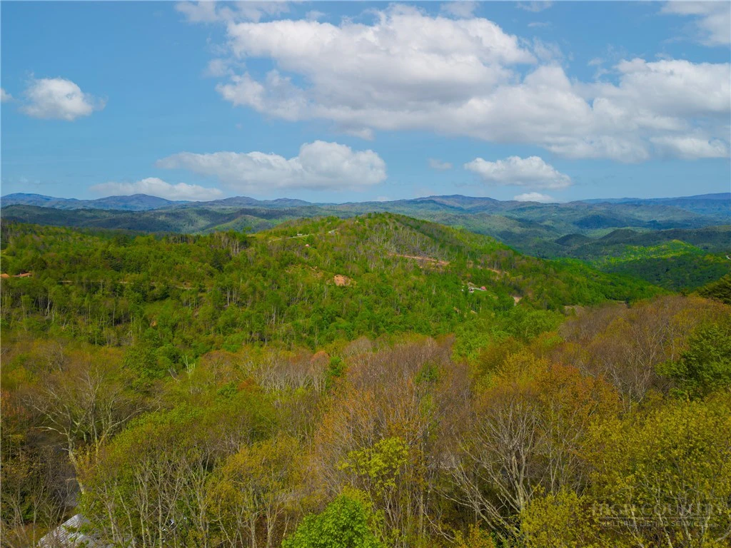 Image number 6 for the current listing