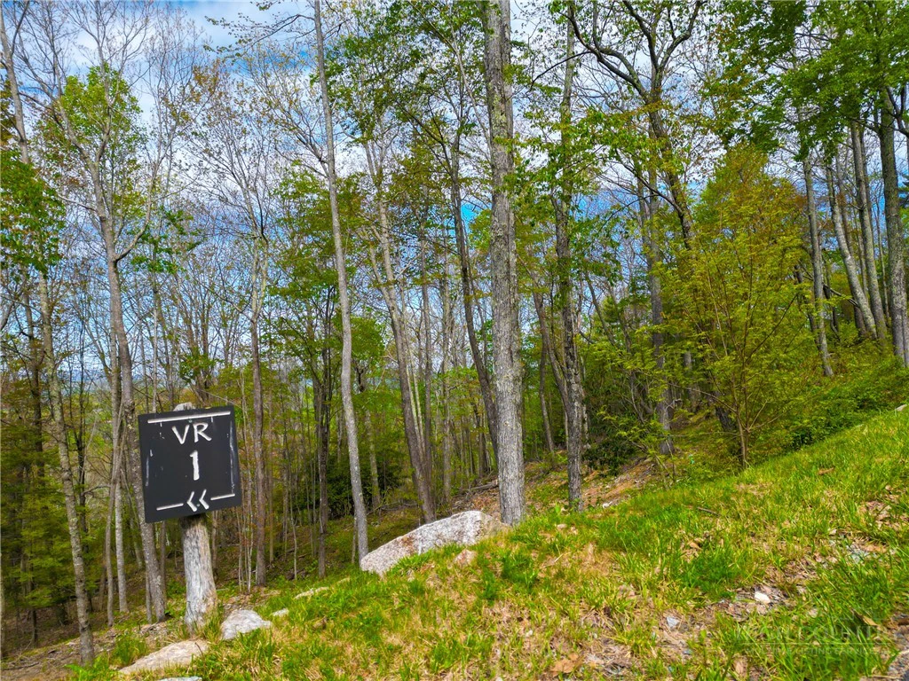 Image number 11 for the current listing
