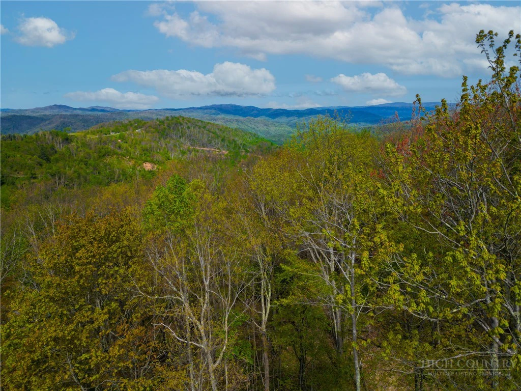 Image number 13 for the current listing