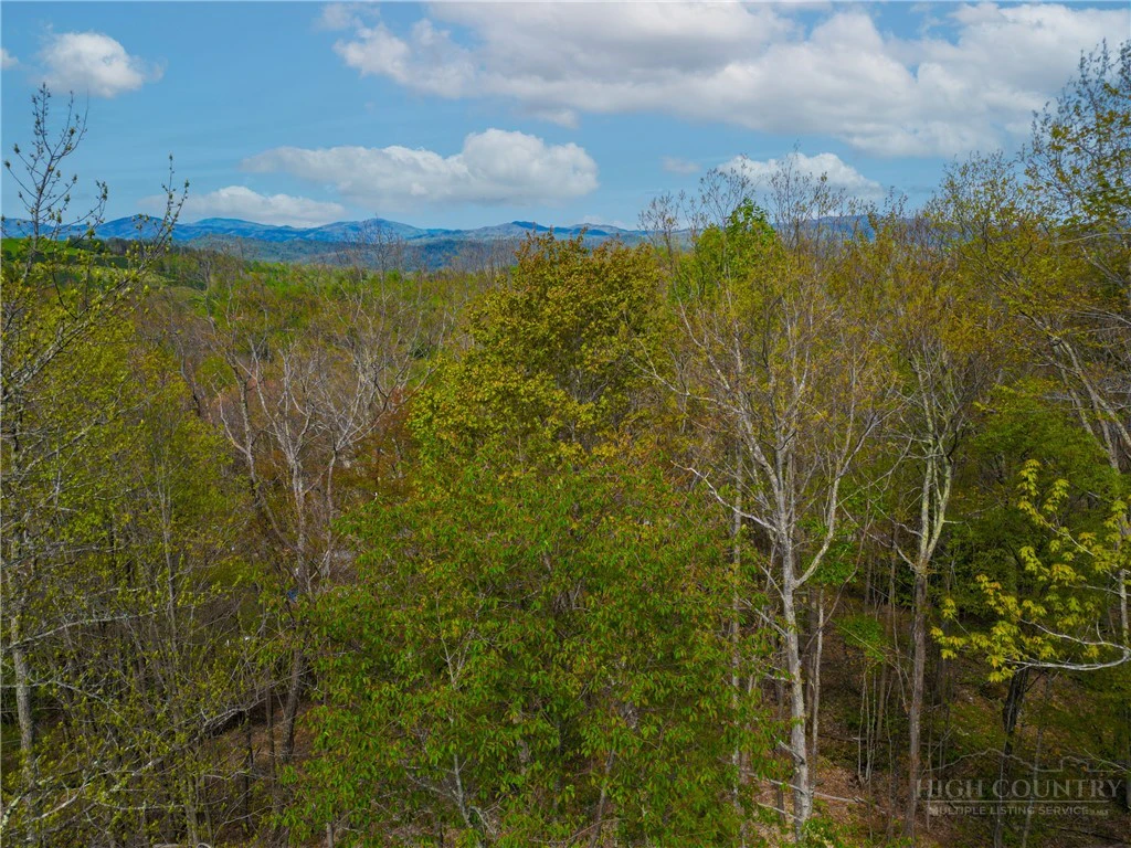 Image number 14 for the current listing