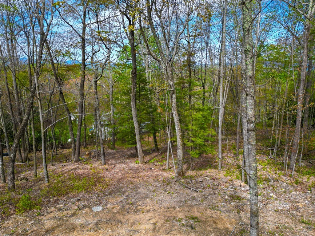Image number 15 for the current listing