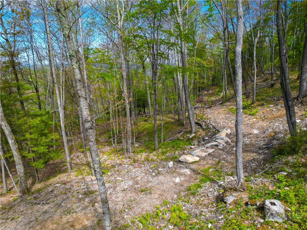 Image number 17 for the current listing