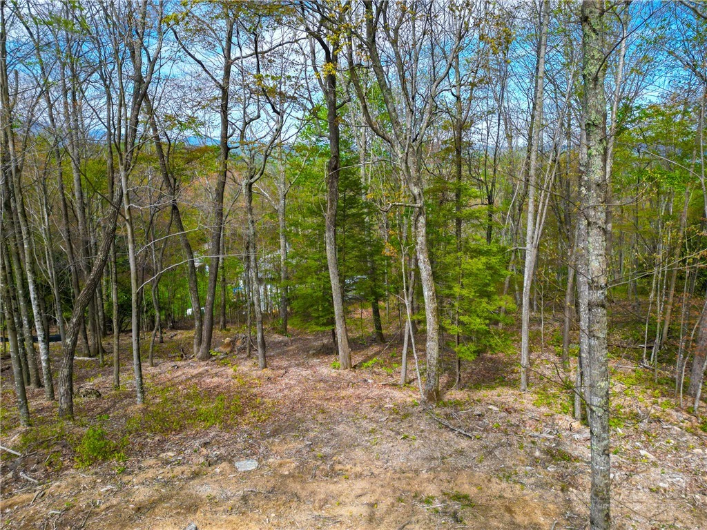 Image number 18 for the current listing