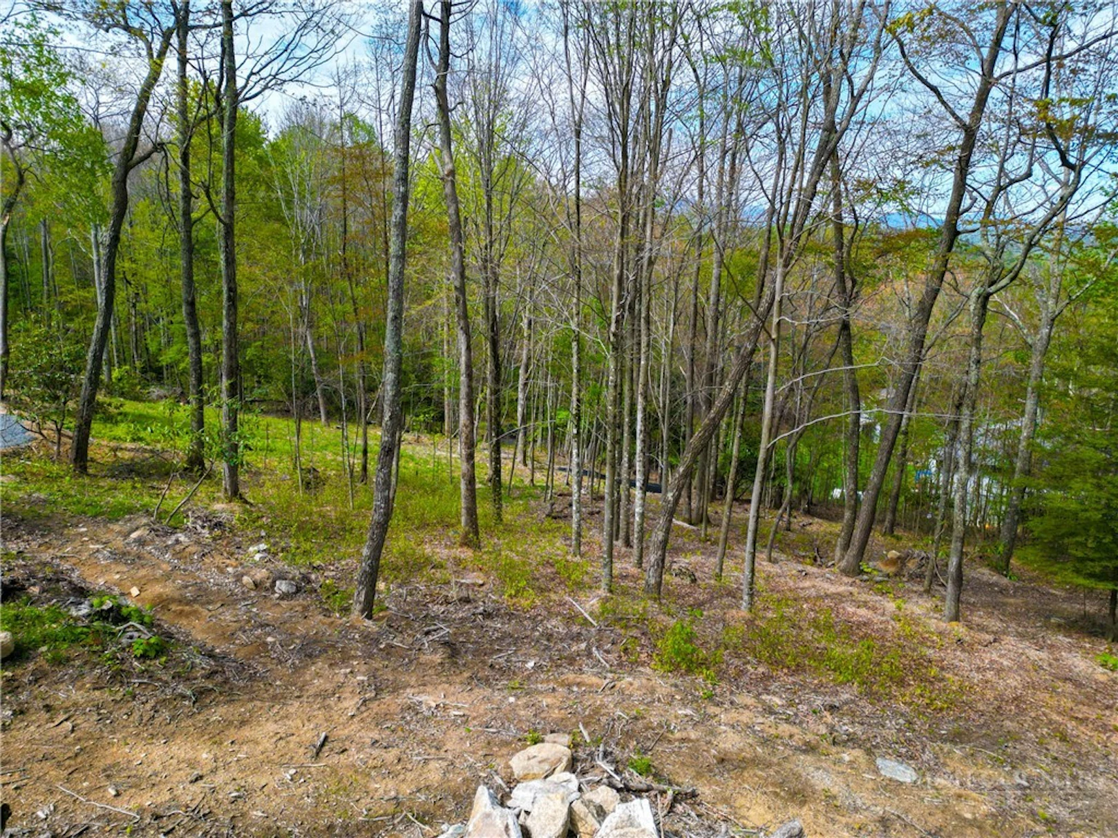 Image number 19 for the current listing