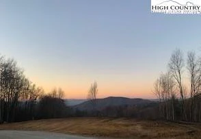 Image number 1 for the current listing