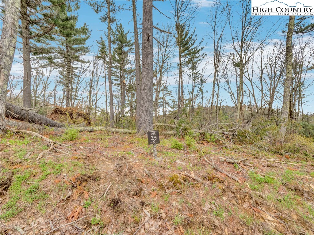 Image number 1 for the current listing