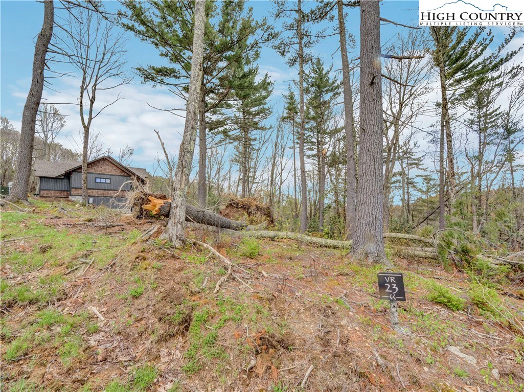 Image number 15 for the current listing