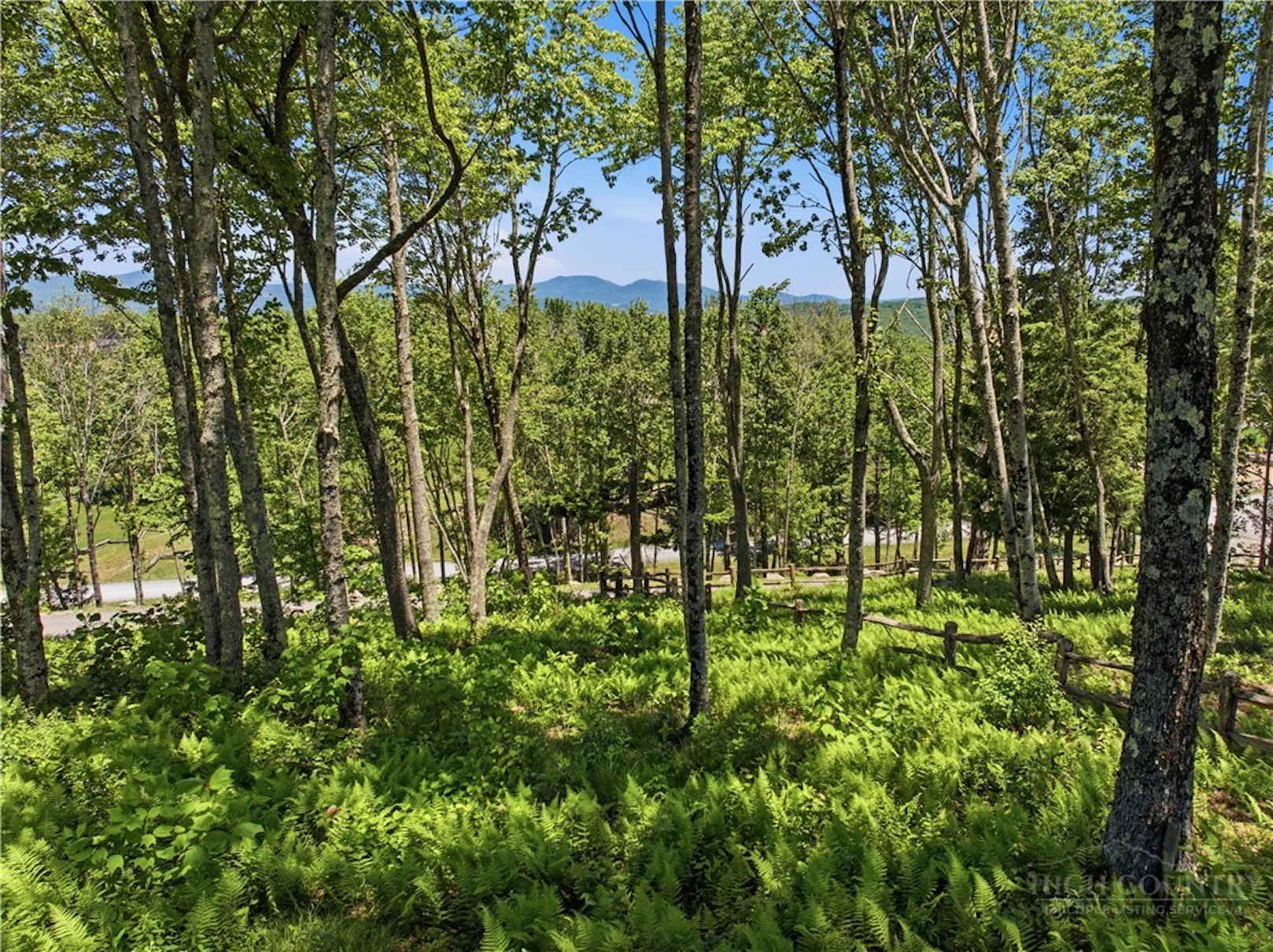 Image number 9 for the current listing