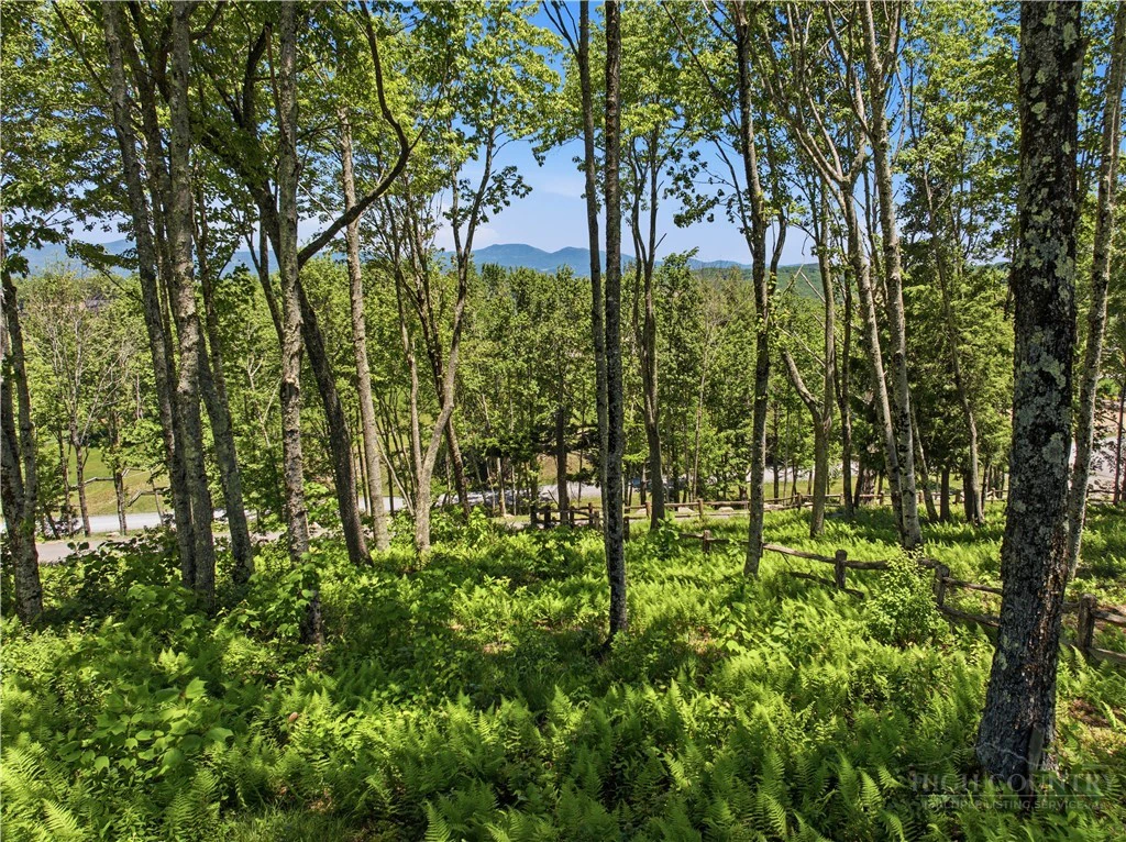 Image number 12 for the current listing