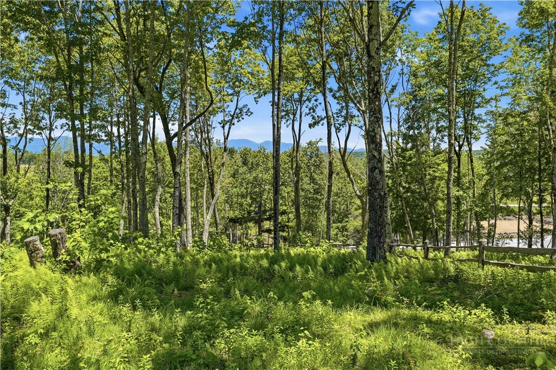 Image number 10 for the current listing