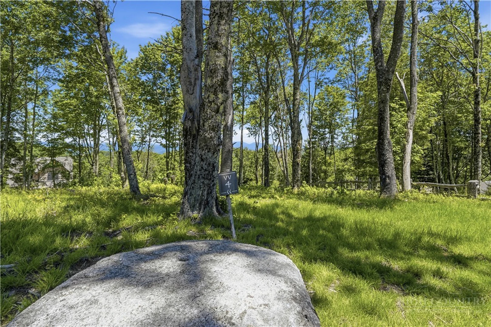 Image number 11 for the current listing
