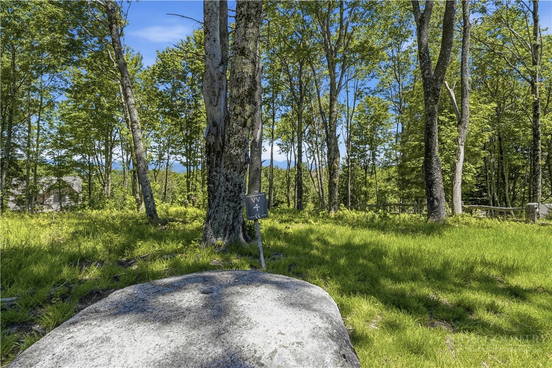 Image number 2 for the current listing