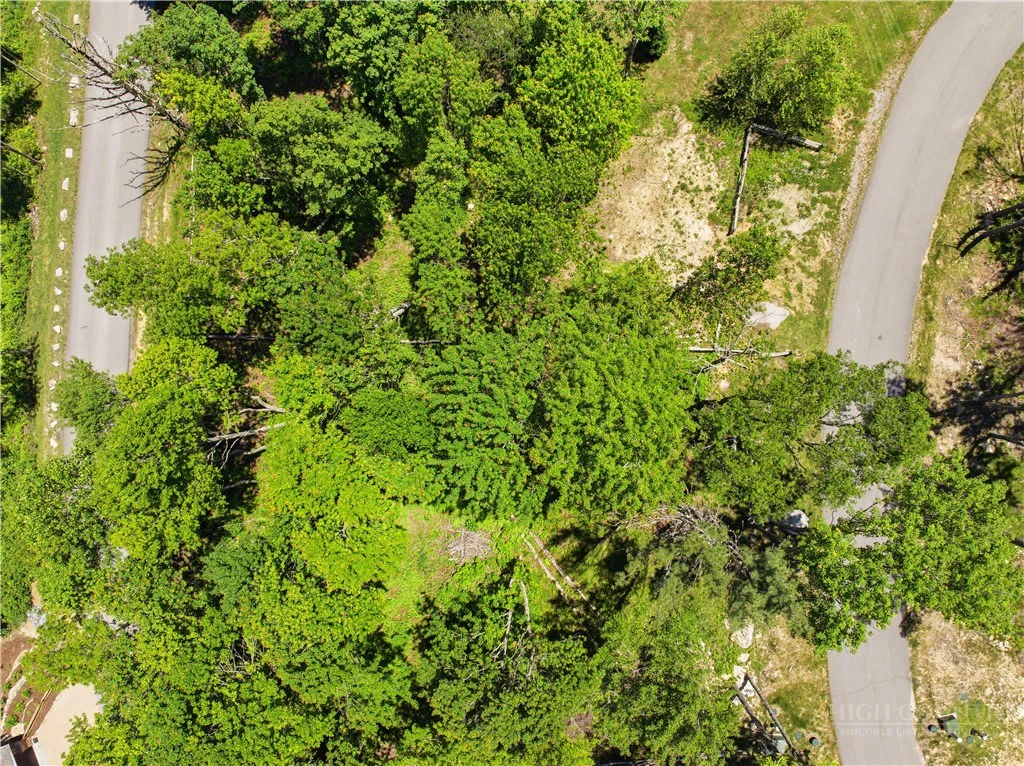 Image number 9 for the current listing