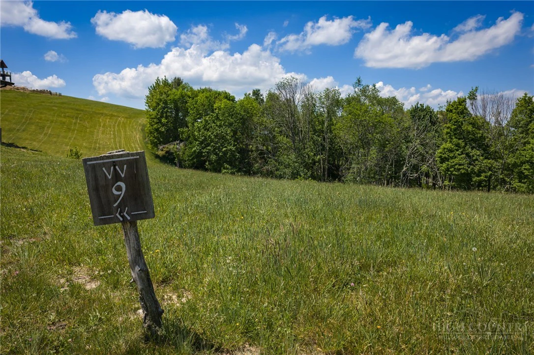 Image number 1 for the current listing