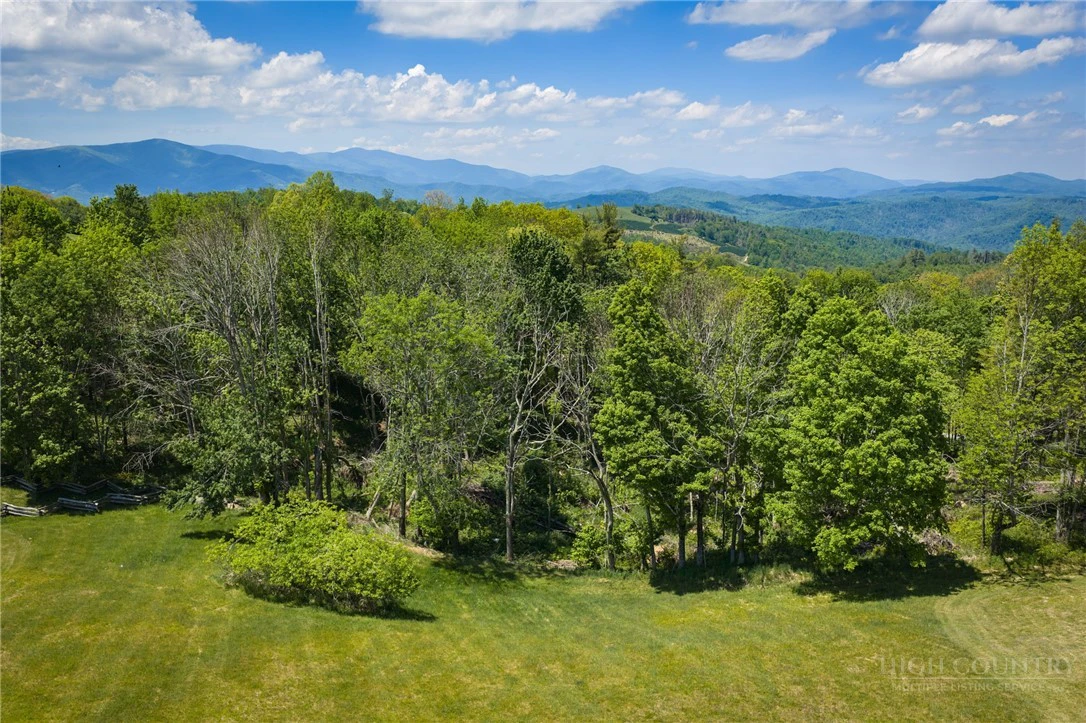 Image number 2 for the current listing