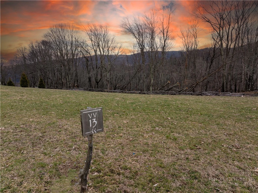 Image number 1 for the current listing